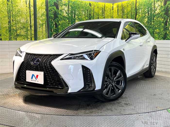 2021 Lexus Other