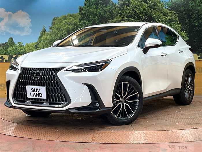 2023 Lexus NX