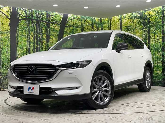 2019 Mazda CX-8