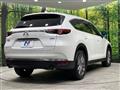 2019 Mazda CX-8
