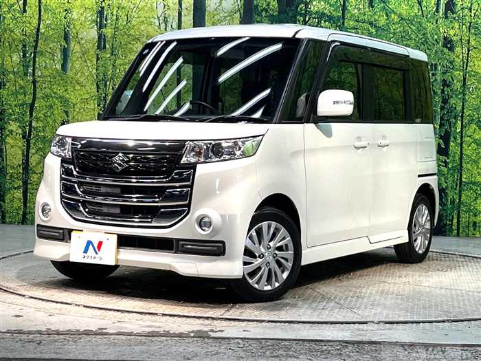 2017 Suzuki Suzuki Others