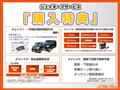 2011 Nissan Elgrand
