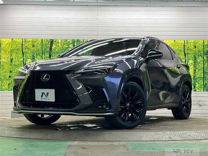 2023 Lexus NX