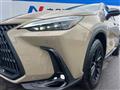 2025 Lexus NX