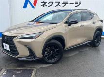 2025 Lexus NX