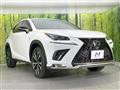 2020 Lexus NX