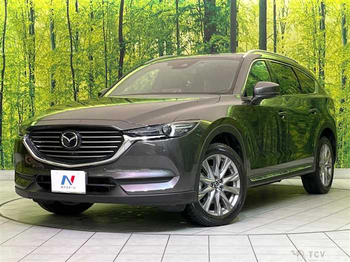 2019 Mazda CX-8