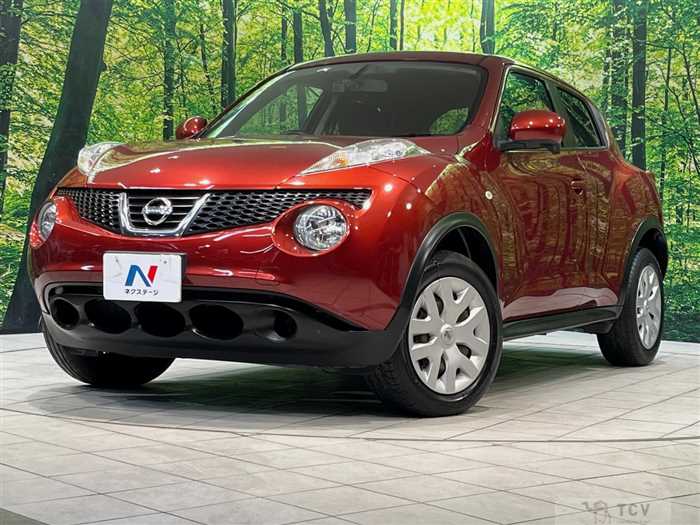 2011 Nissan Juke