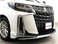 2019 Toyota Alphard G