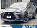 2024 Lexus NX