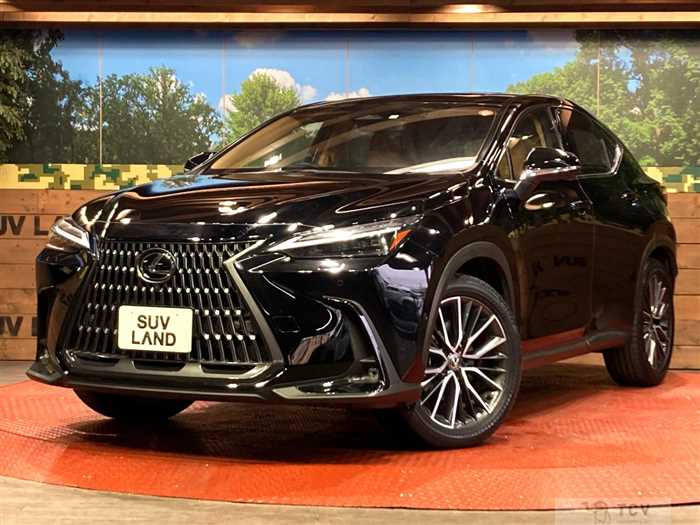 2023 Lexus NX
