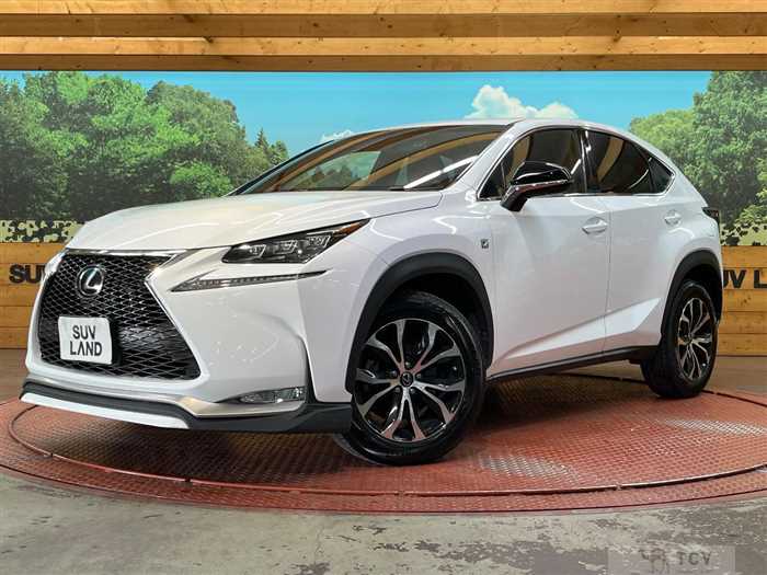 2016 Lexus NX