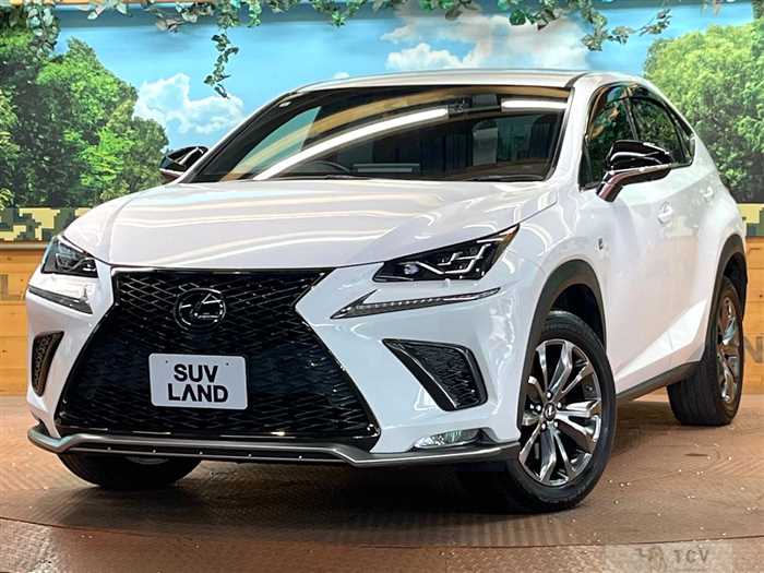 2019 Lexus NX