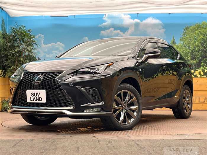 2017 Lexus NX
