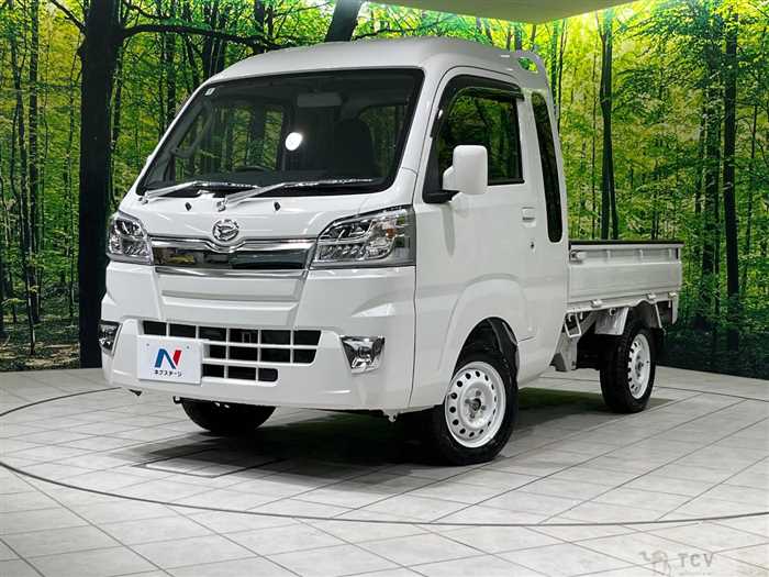 2021 Daihatsu Hijet Truck
