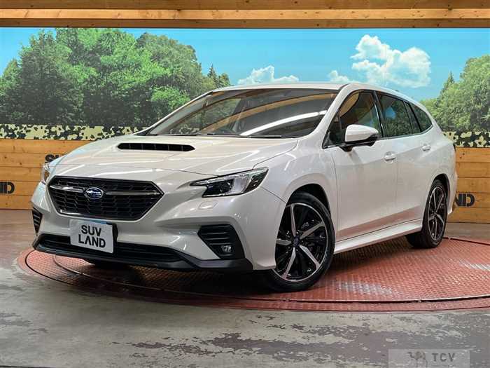 2021 Subaru Levorg