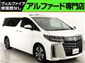 2019 Toyota Alphard G