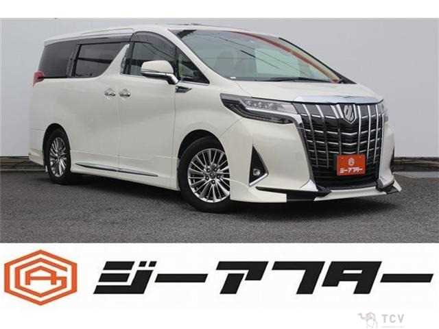 2019 Toyota Alphard G