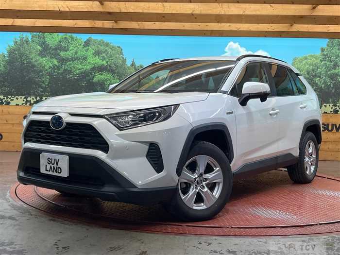 2019 Toyota RAV4