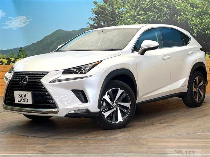 2020 Lexus NX