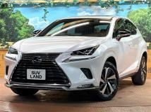 2020 Lexus NX