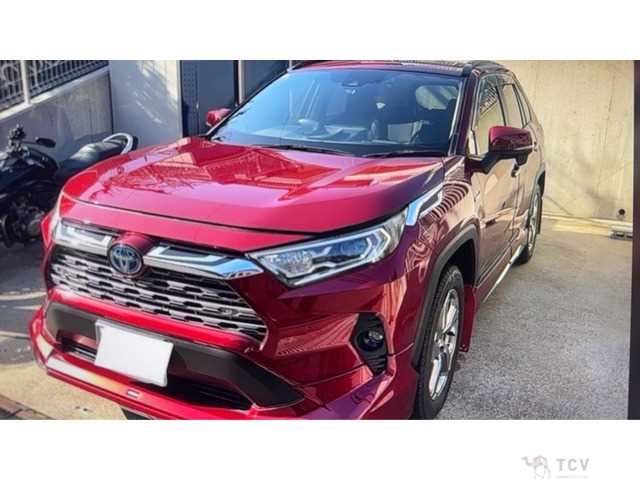 2019 Toyota RAV4