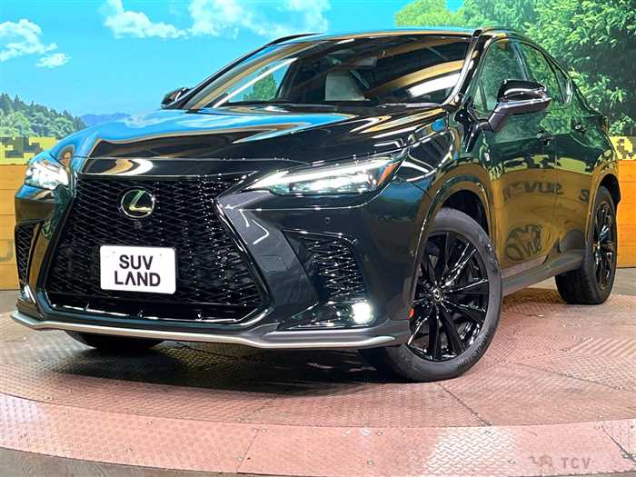 2023 Lexus NX