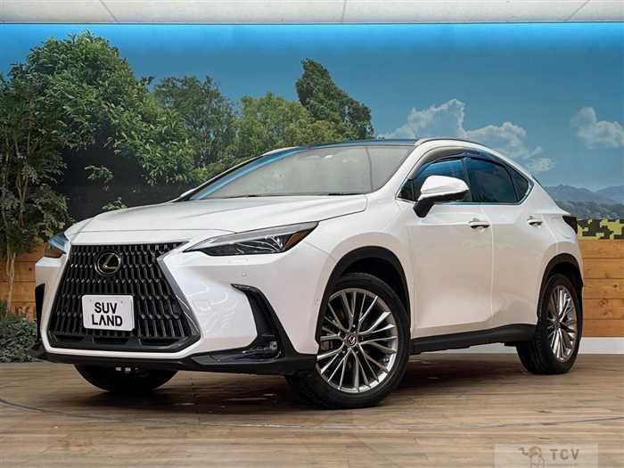 2023 Lexus NX