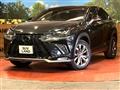 2019 Lexus NX