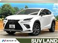 2019 Lexus NX