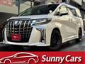 2019 Toyota Alphard G