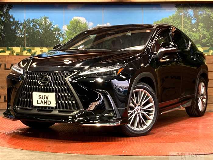 2023 Lexus NX