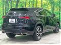 2019 Lexus NX
