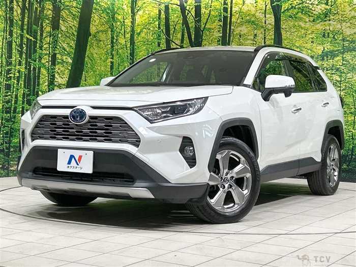 2020 Toyota RAV4