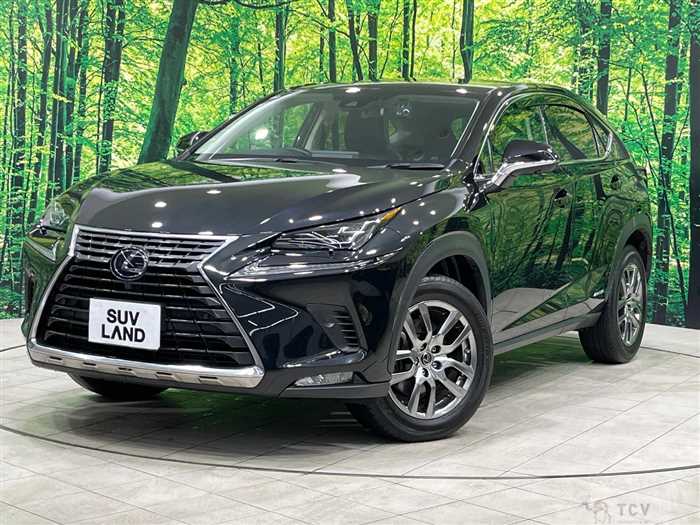 2019 Lexus NX