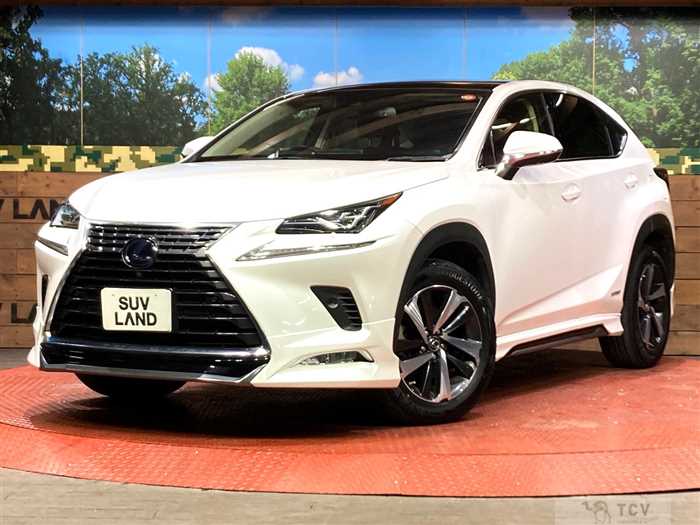 2020 Lexus NX