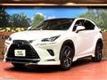 2020 Lexus NX