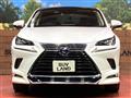 2020 Lexus NX