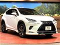 2020 Lexus NX