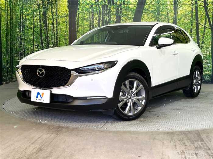 2019 Mazda Mazda Others