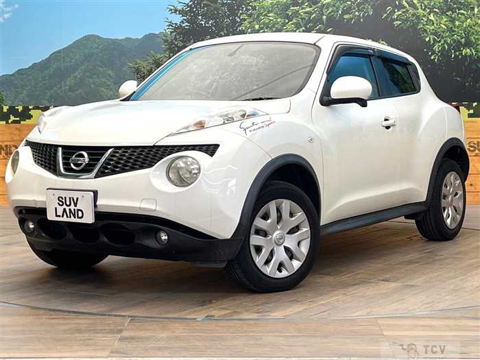 2013 Nissan Juke