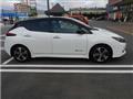 2018 Nissan Nissan Others
