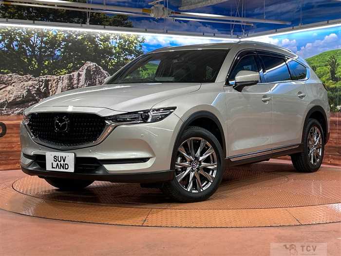 2022 Mazda CX-8