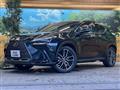 2024 Lexus NX