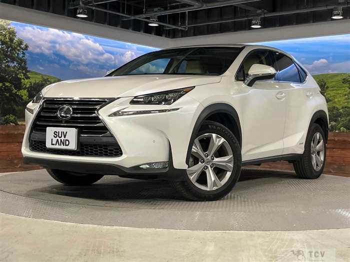 2016 Lexus NX