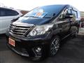 2013 Toyota Alphard G