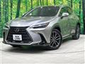 2021 Lexus NX