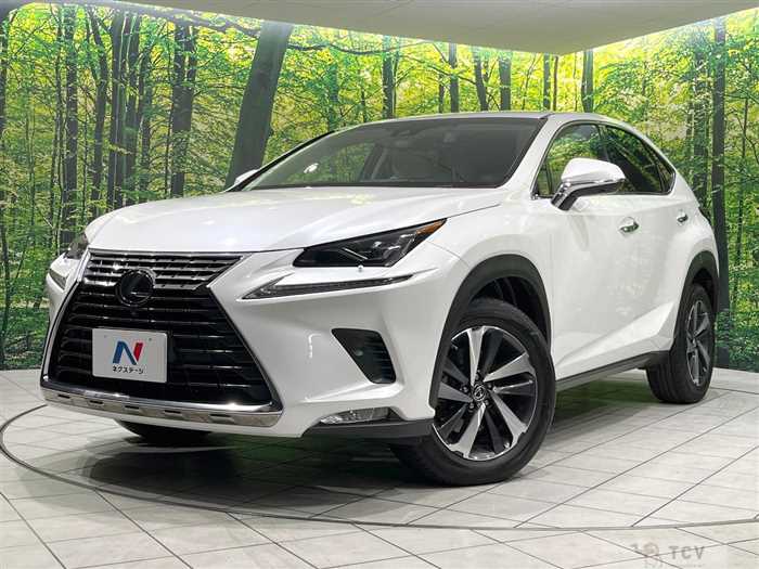 2018 Lexus NX