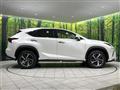 2018 Lexus NX