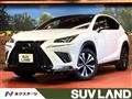 2019 Lexus NX